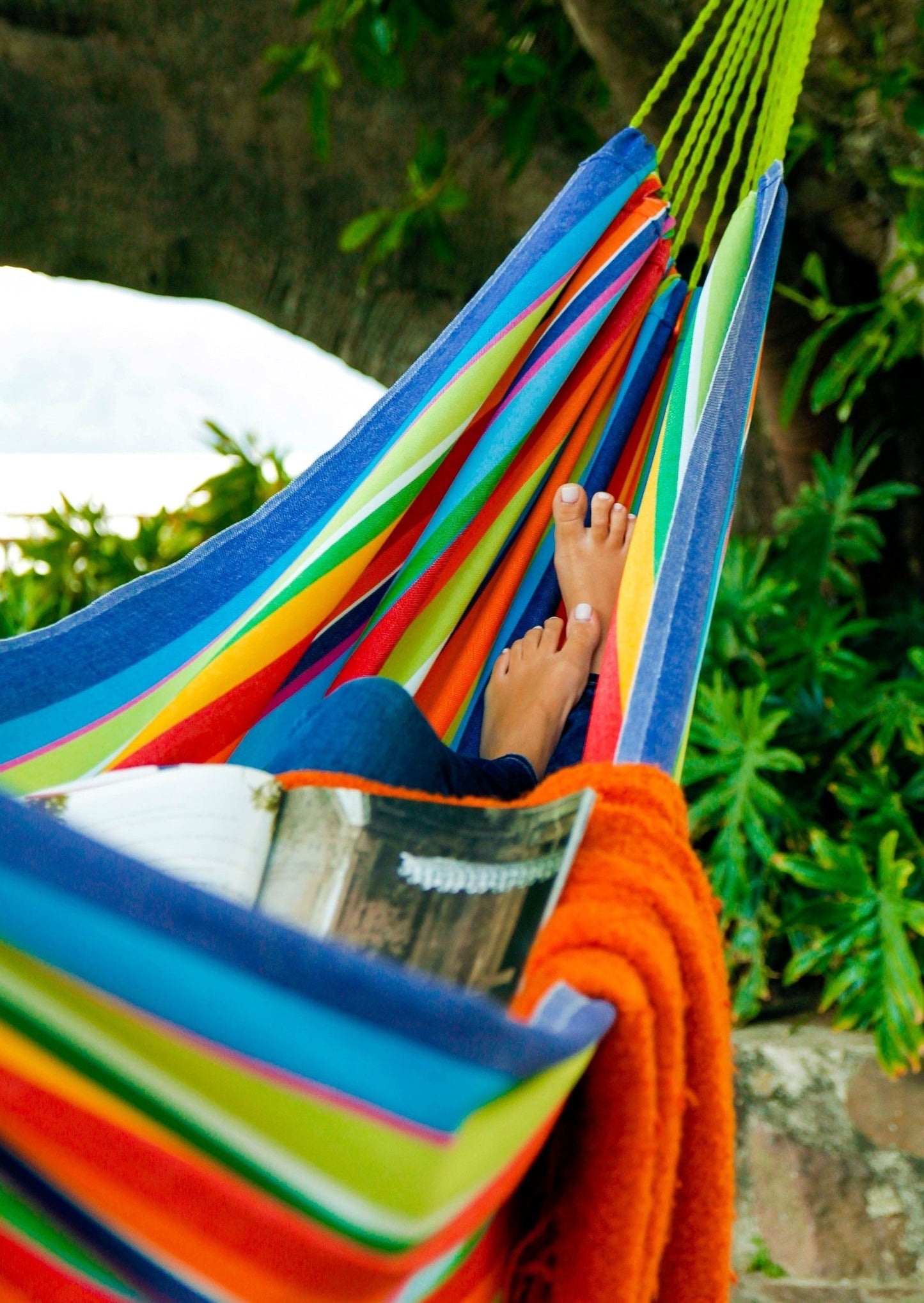 rainbow multi color hammock by a tree